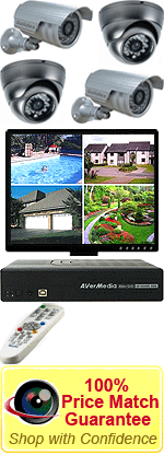 Avermedia Remote DVR & 4 Colour cameras