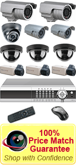 16 Camera DVR with 10 cameras