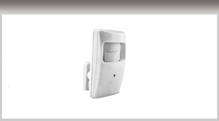 Covert Colour Camera in PIR housing